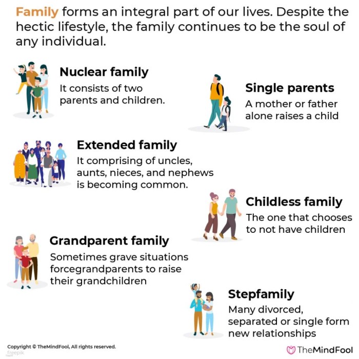 Family roles dynamics dysfunctional dynamic